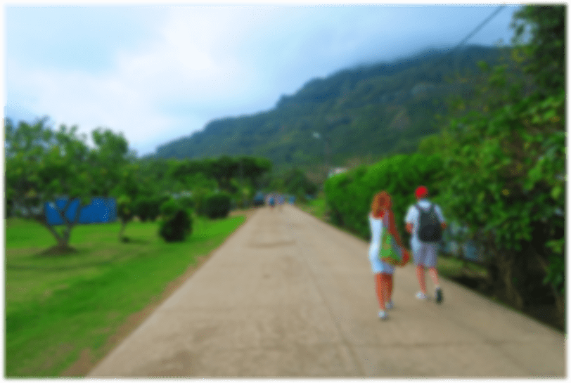 people walking in the park